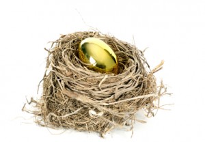 Nest Egg